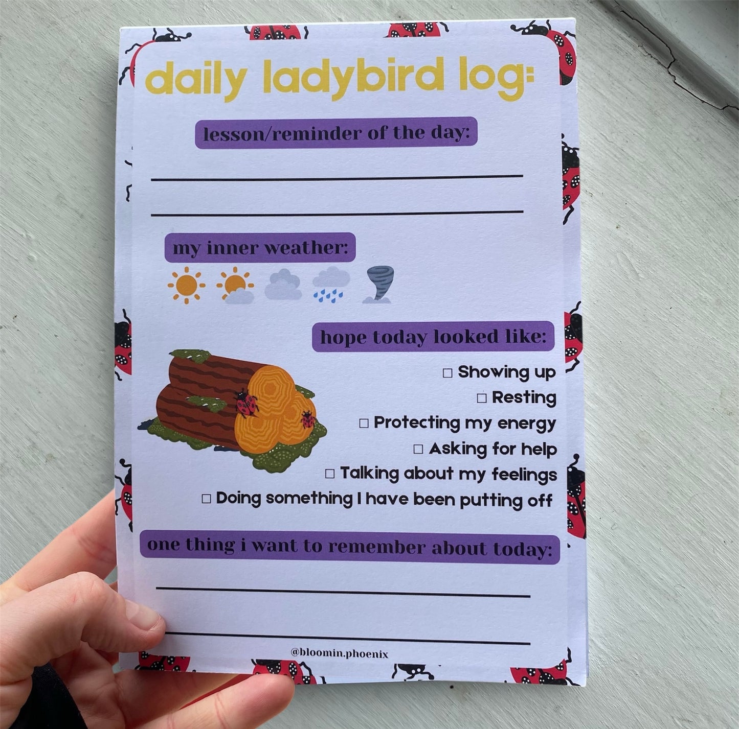 'DAILY LADYBIRD LOG' A5 Notepad
