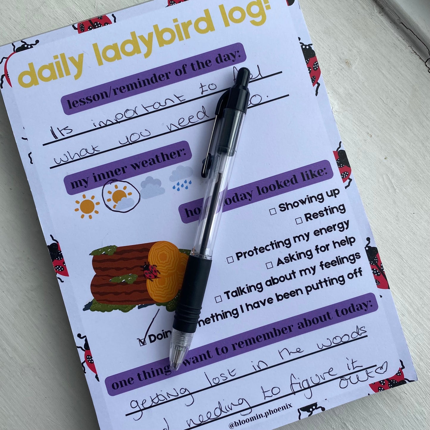'DAILY LADYBIRD LOG' A5 Notepad