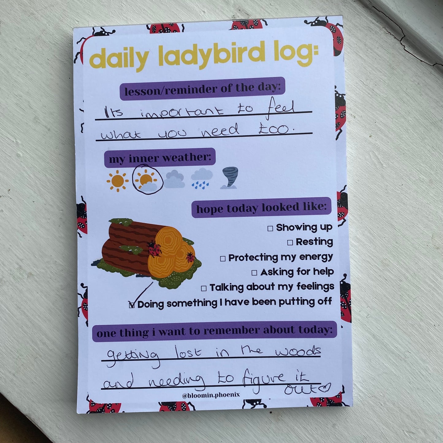 'DAILY LADYBIRD LOG' A5 Notepad