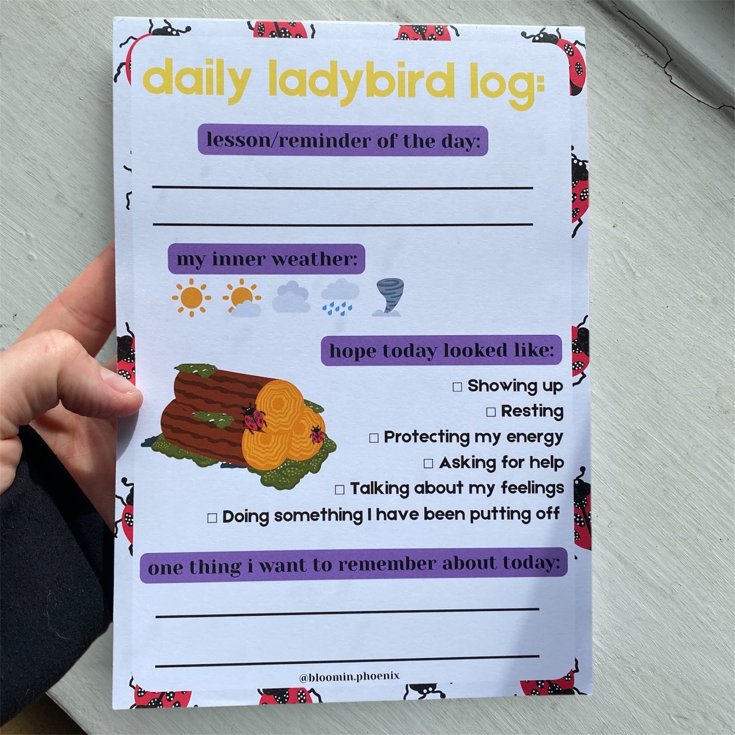 'DAILY LADYBIRD LOG' A5 Notepad